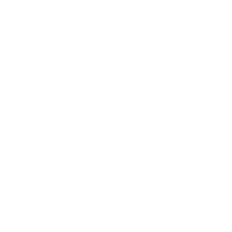 Phone Icon